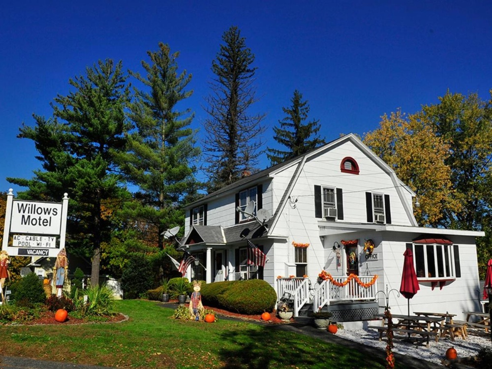 Willows Motel Image 18