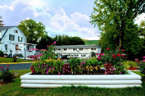 Willows Motel image 21