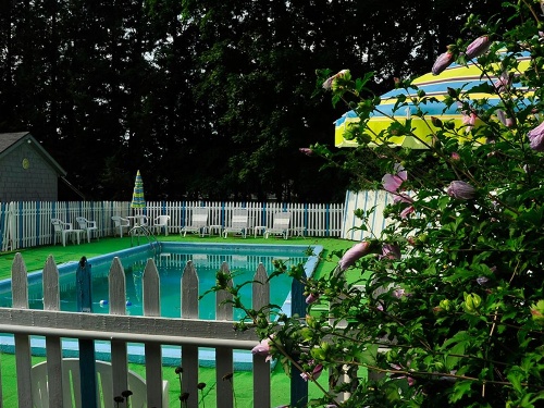 Willows Motel image 31